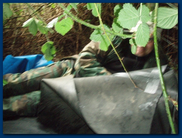 600x449 pixels (132K)